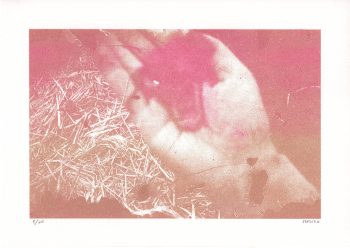Sean Roy Parker - Screenprint Edition